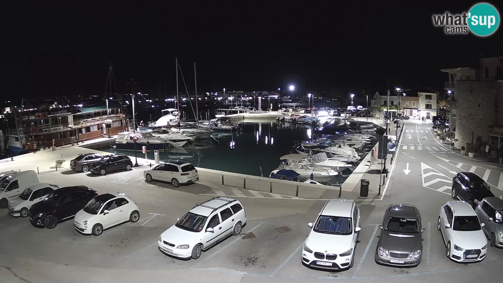 Novigrad | Porporela marina
