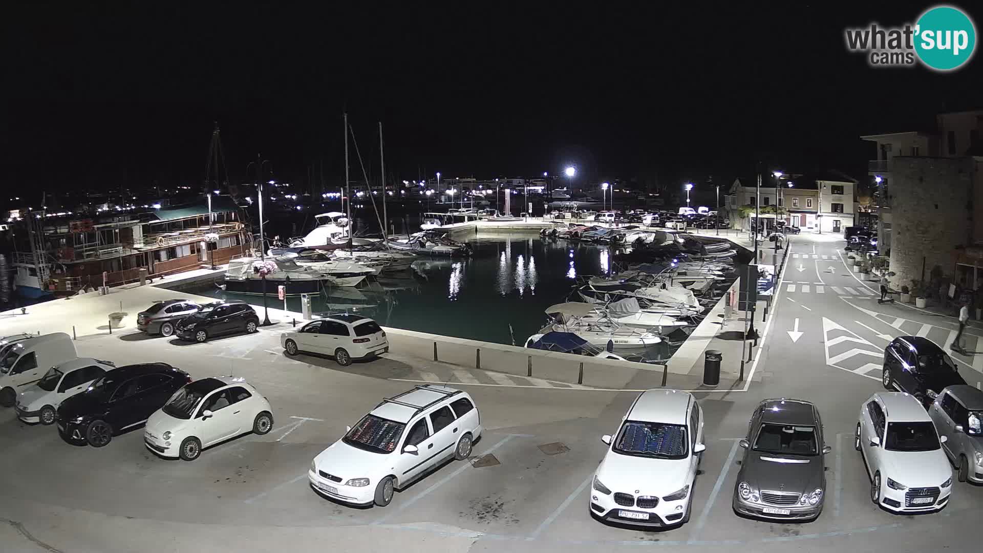 Novigrad | Porporela marina