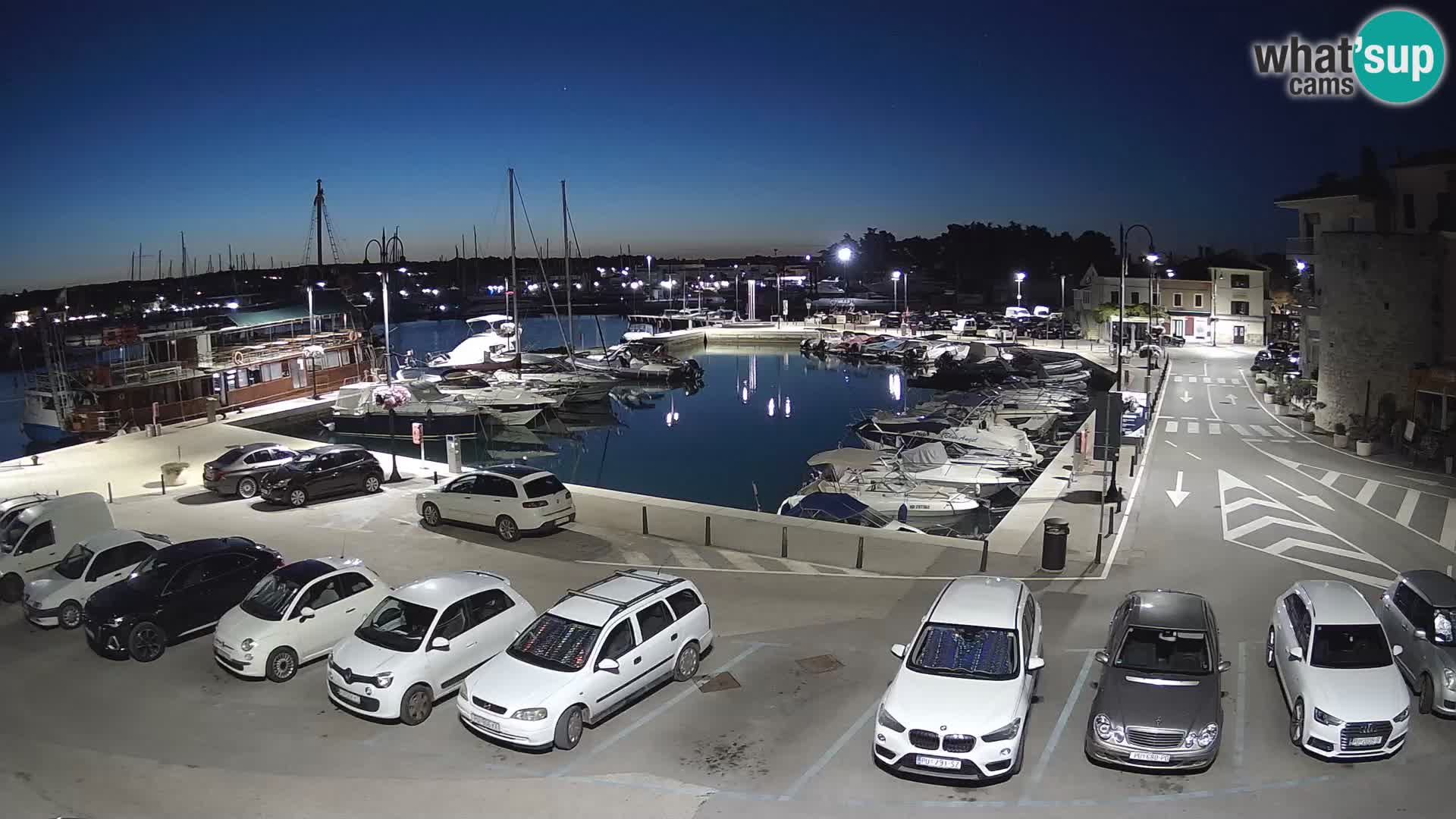 Novigrad | Porporela marina