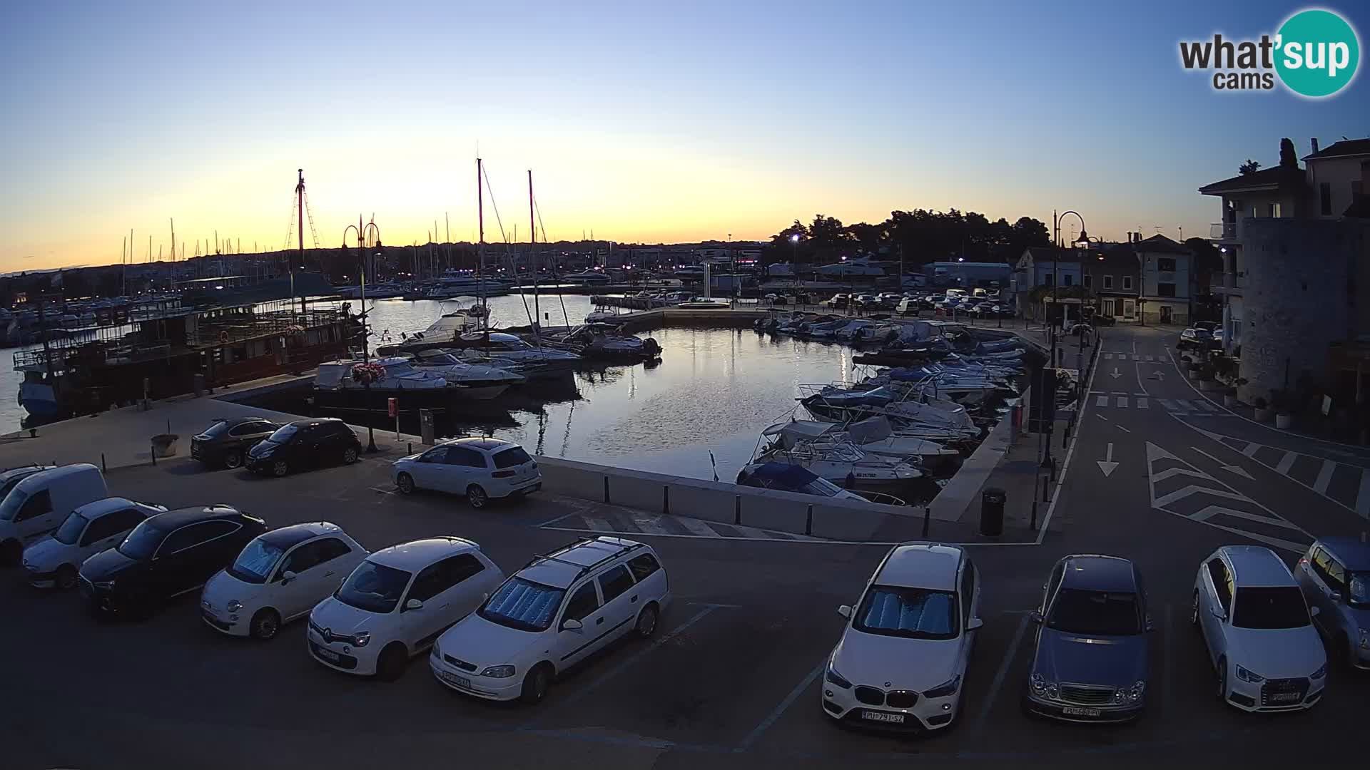 Novigrad | Porporela marina