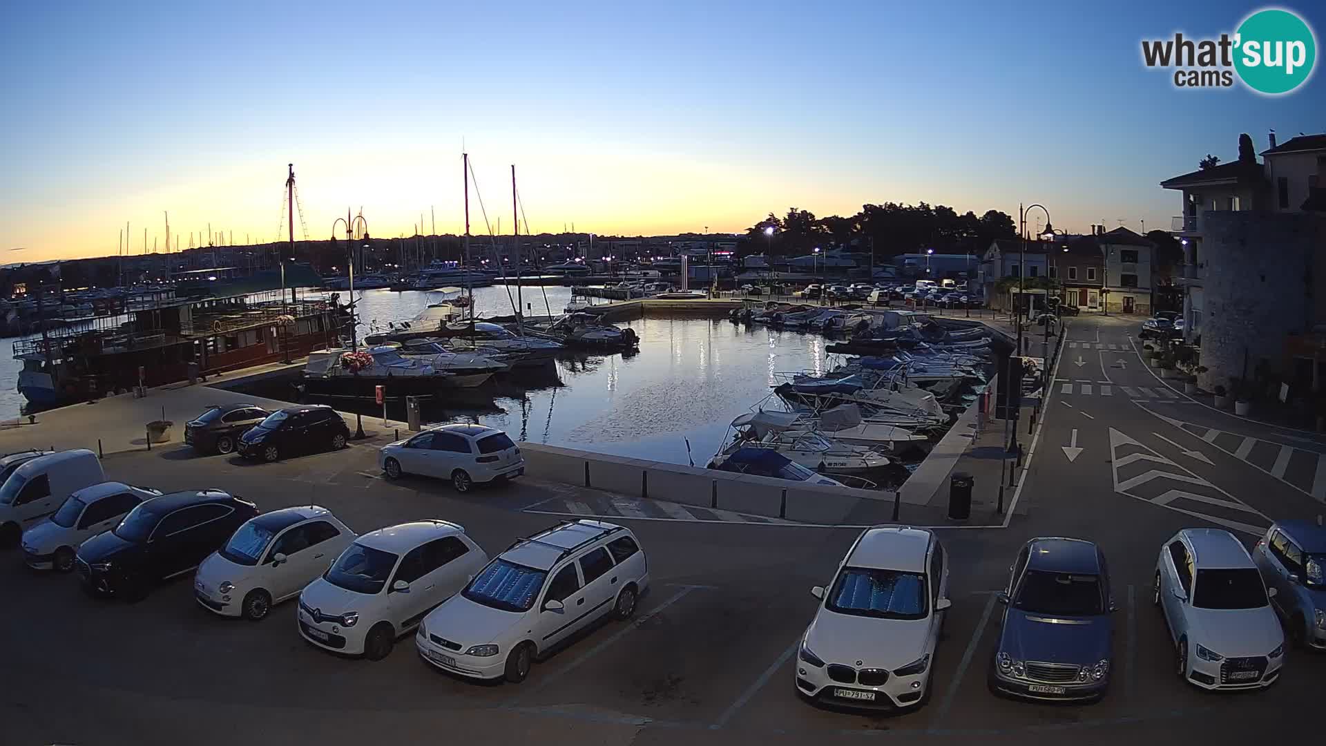 Novigrad | Porporela marina