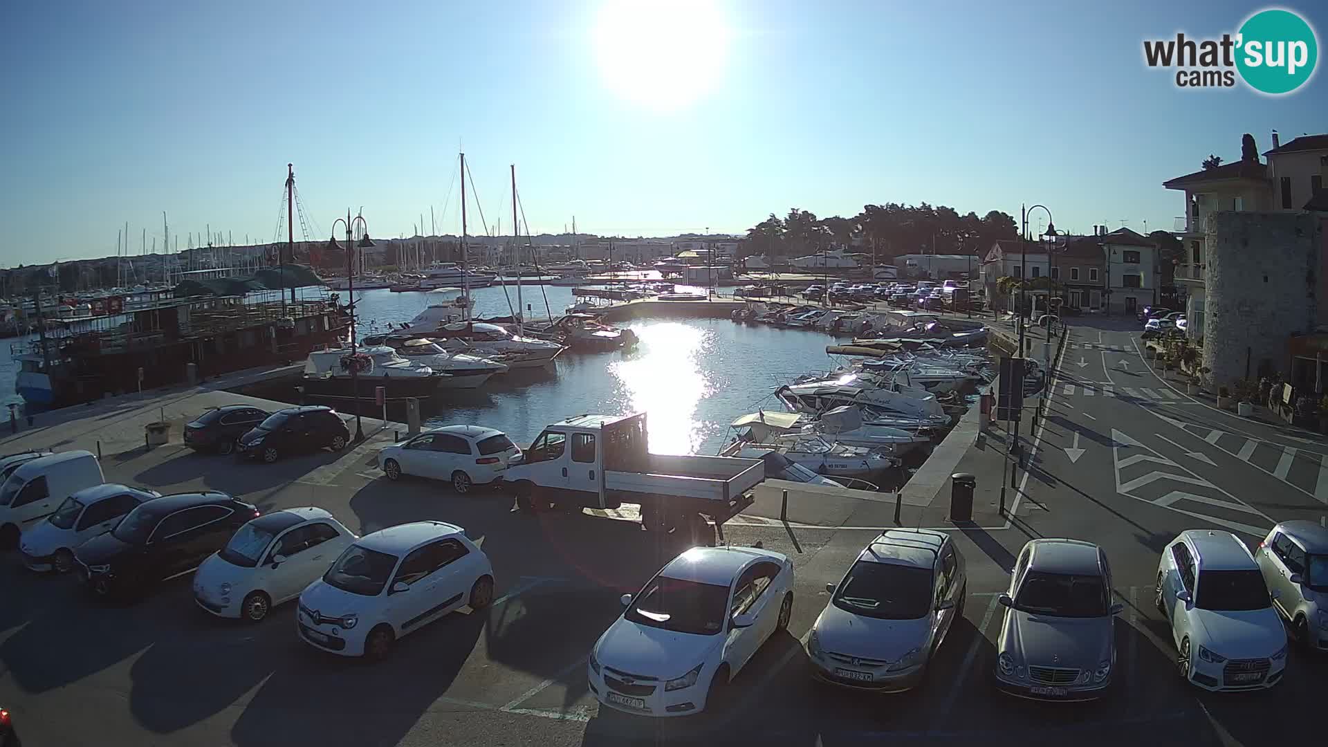 Novigrad | Porporela marina