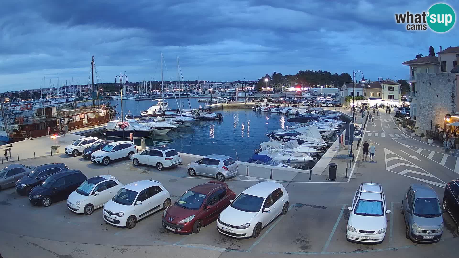 Novigrad | Porporela marina