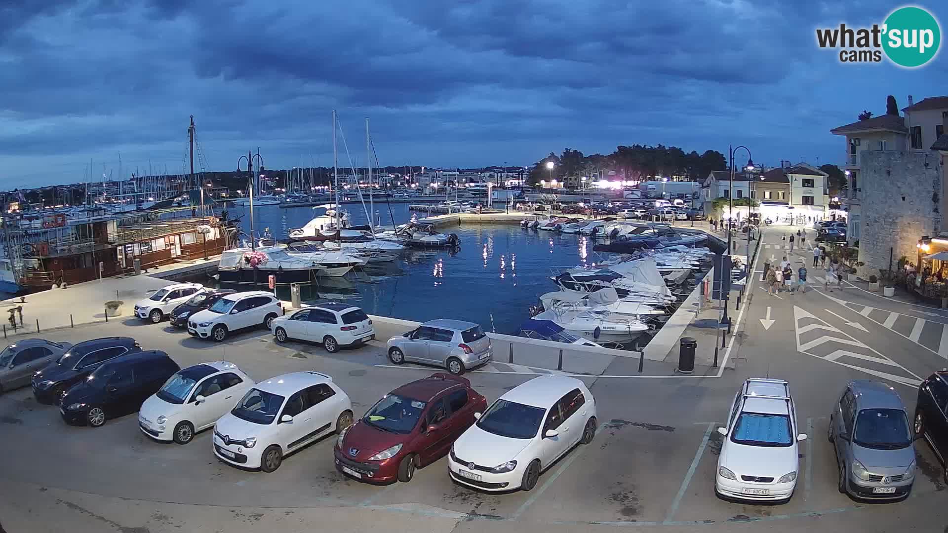 Novigrad | Porporela marina