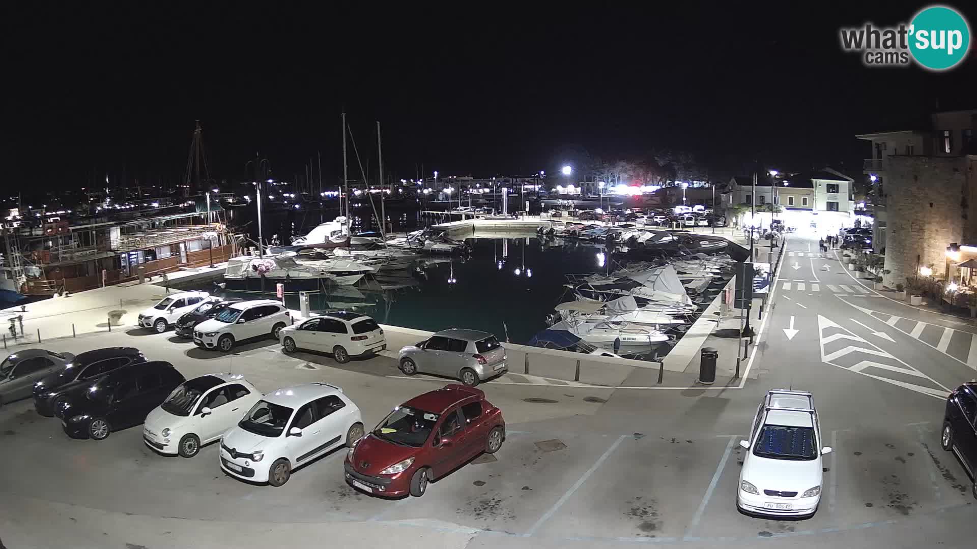 Novigrad | Porporela marina