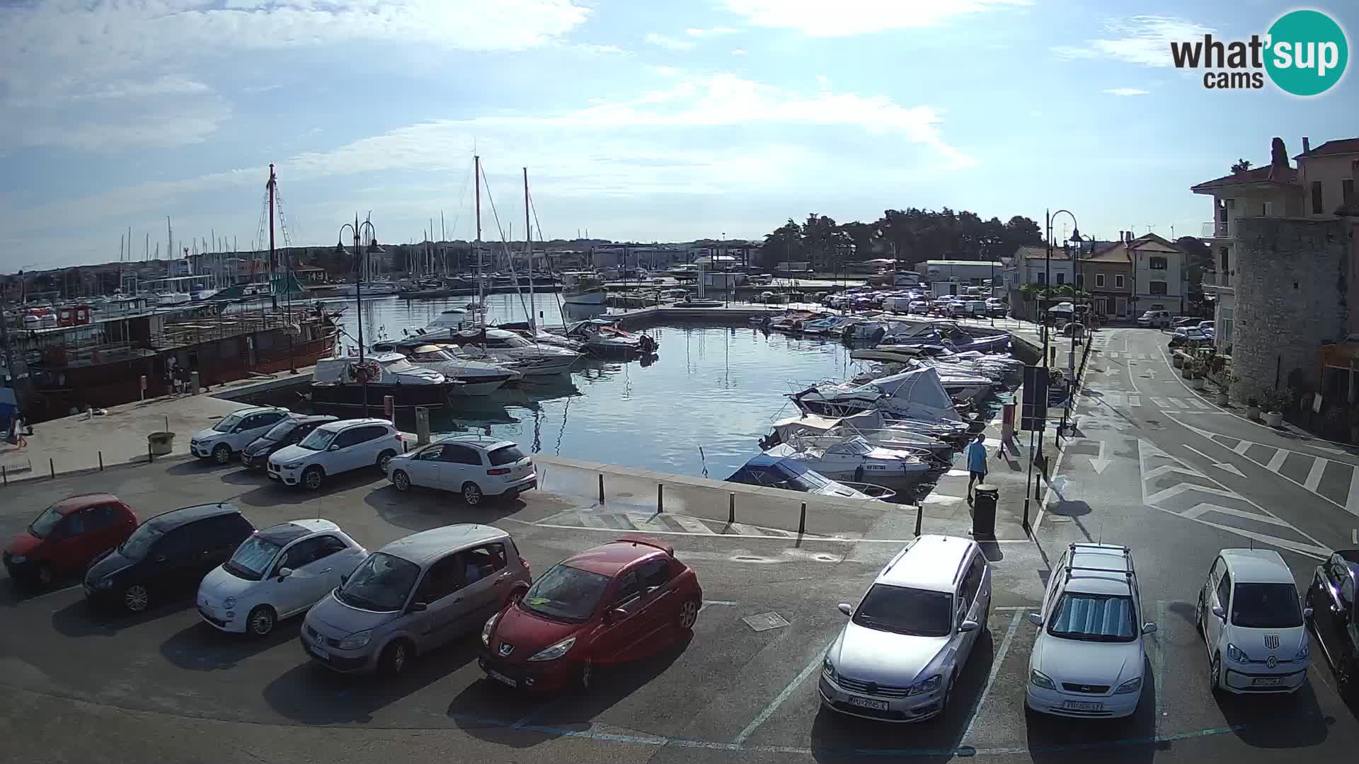 Novigrad | Porporela marina
