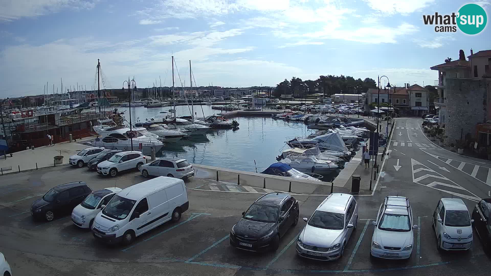 Novigrad | Porporela marina