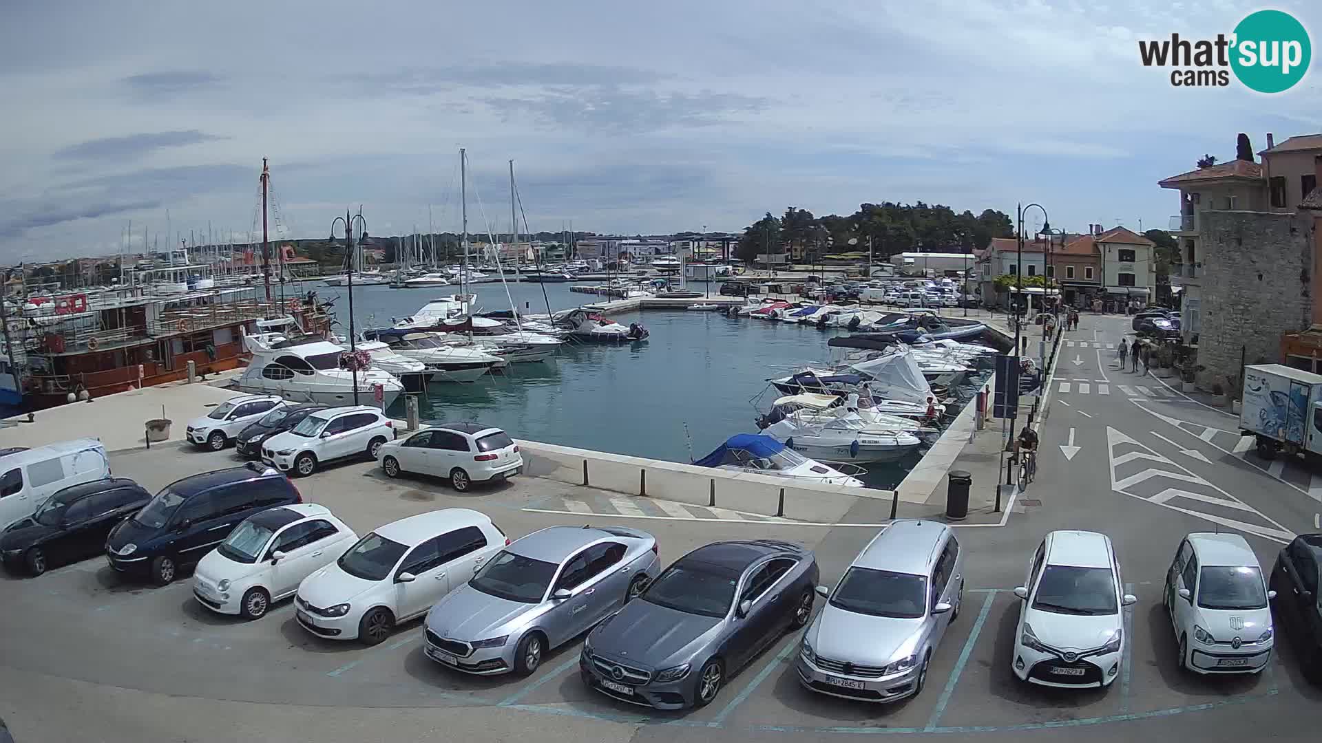 Novigrad | Porporela marina