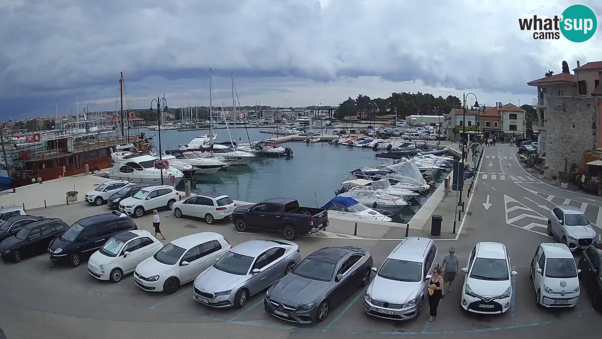 Novigrad | Porporela marina