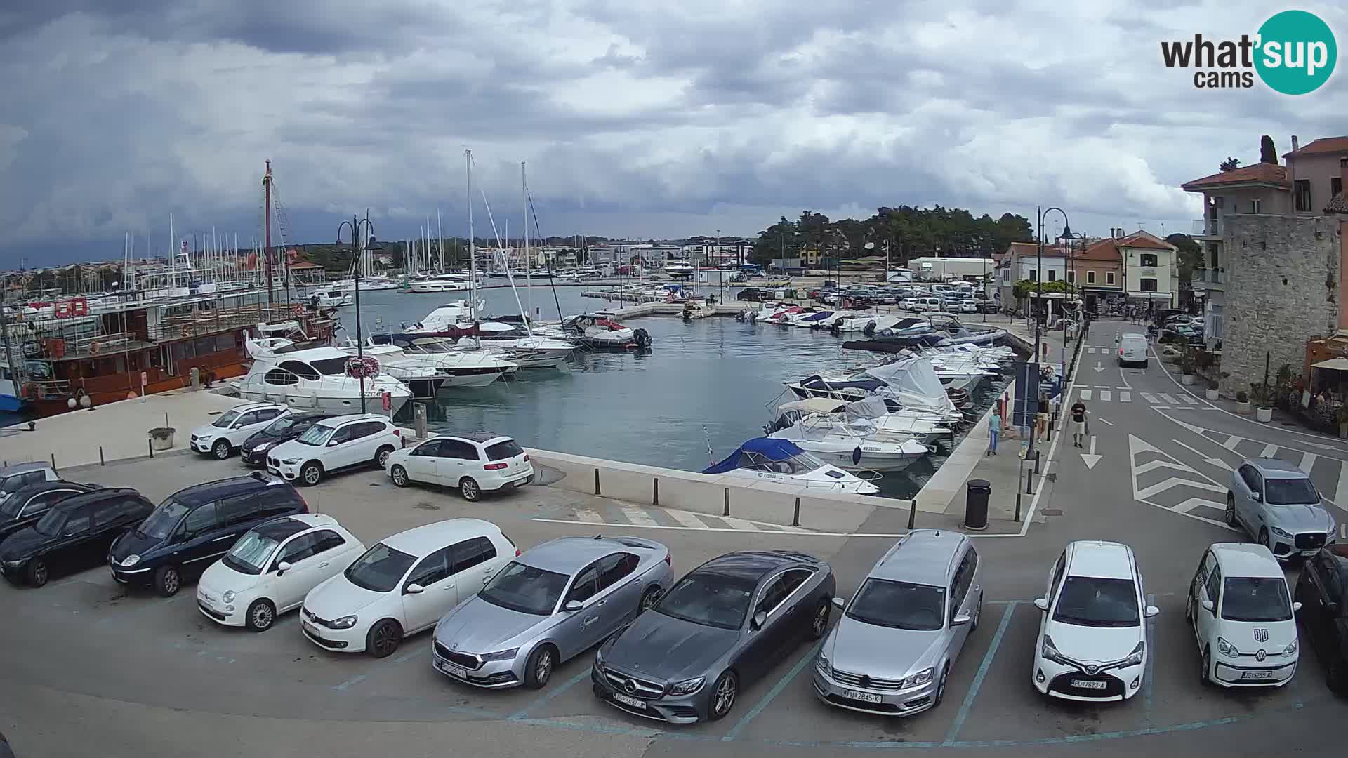 Novigrad | Porporela marina