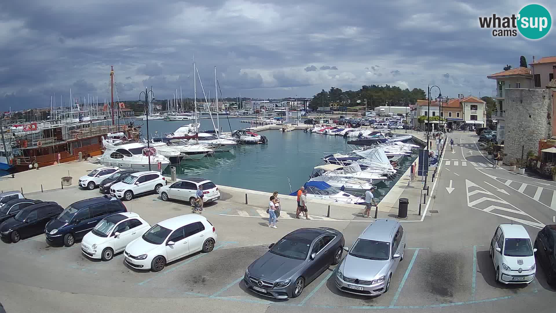 Novigrad | Porporela marina