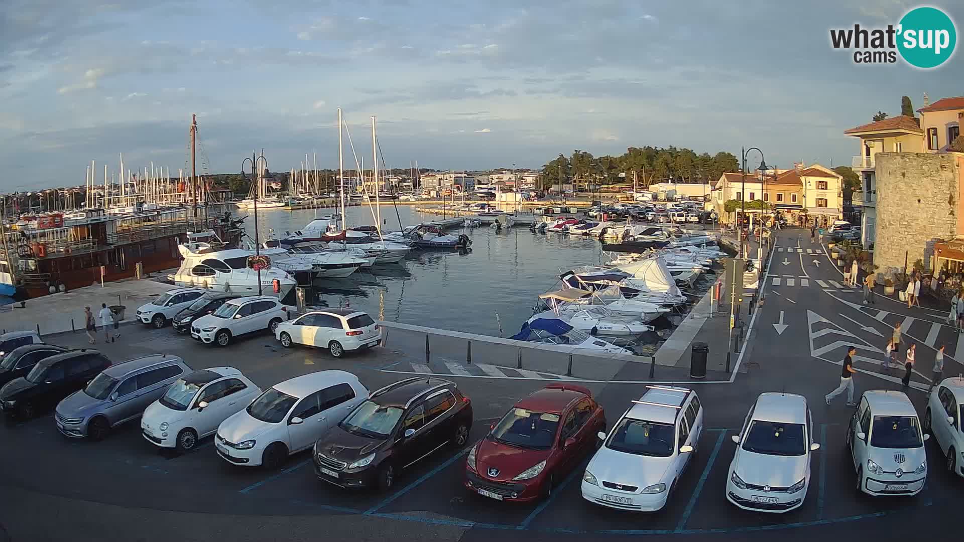 Novigrad | Porporela marina