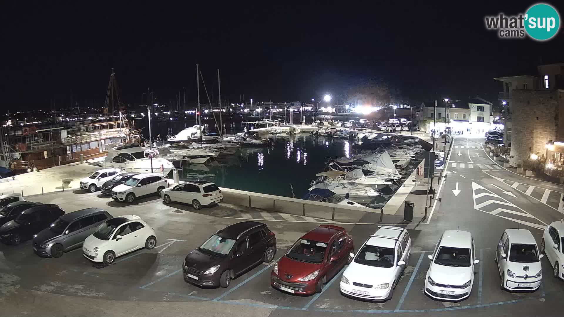 Novigrad | Porporela marina
