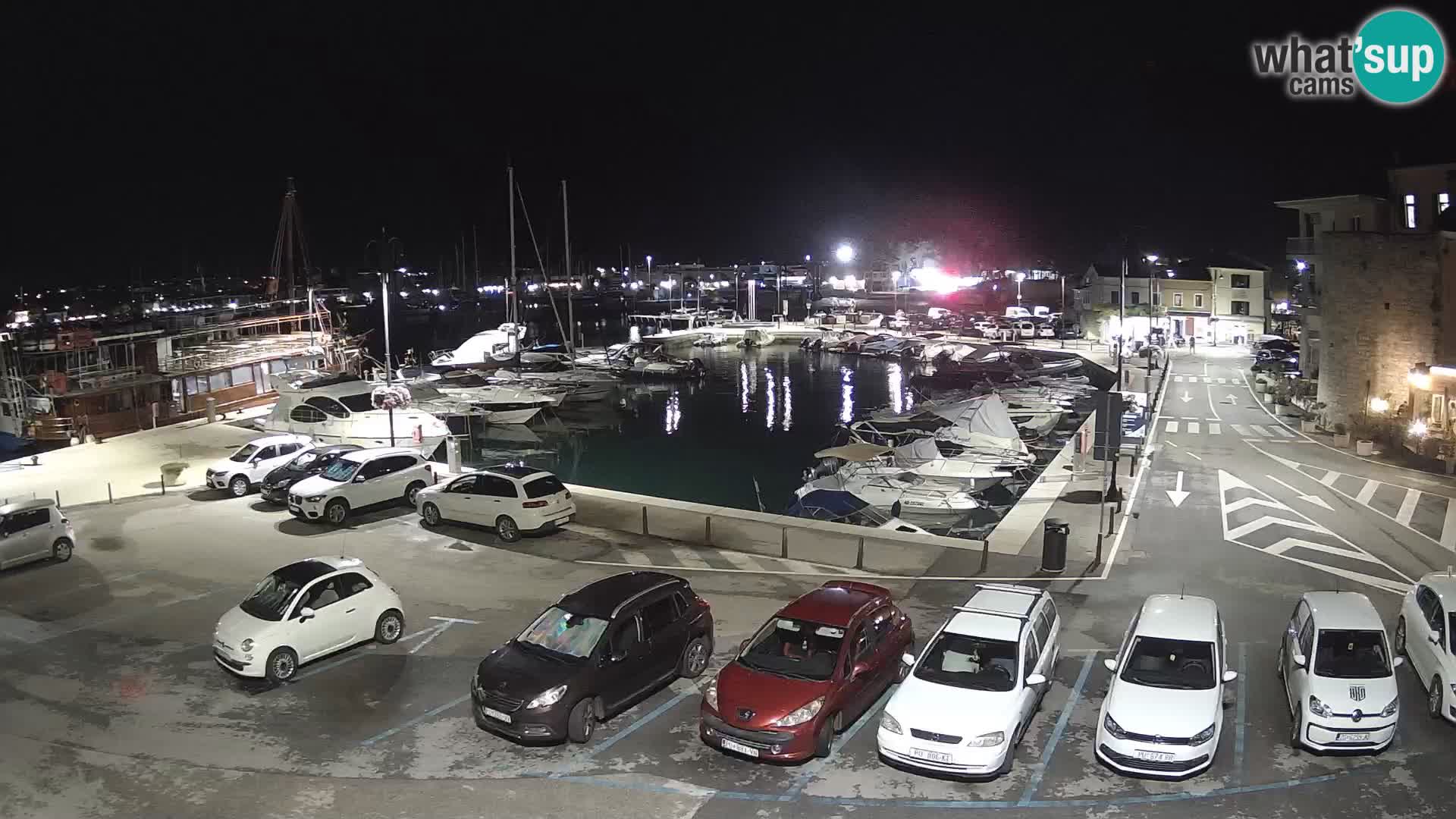 Novigrad | Porporela marina