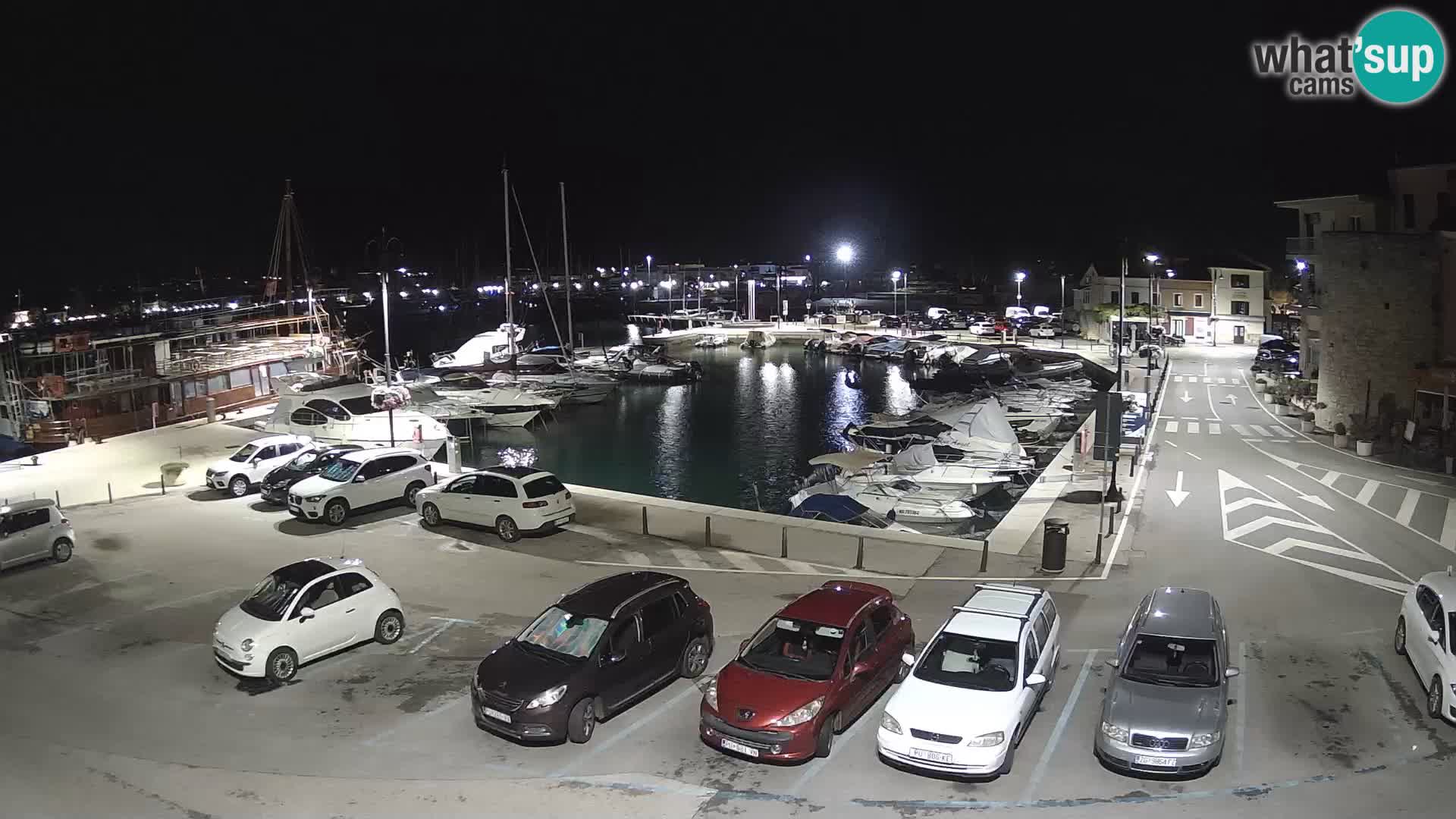 Novigrad | Porporela marina