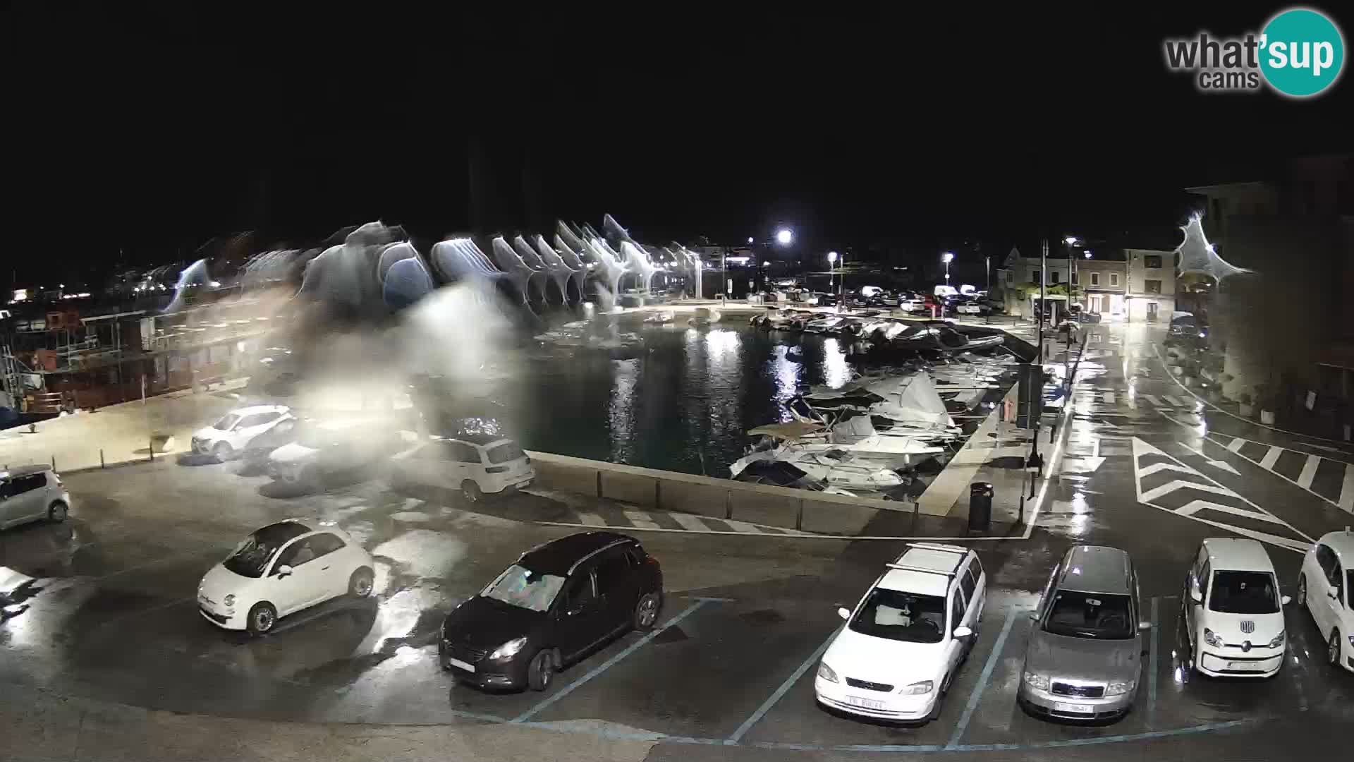 Novigrad | Porporela marina