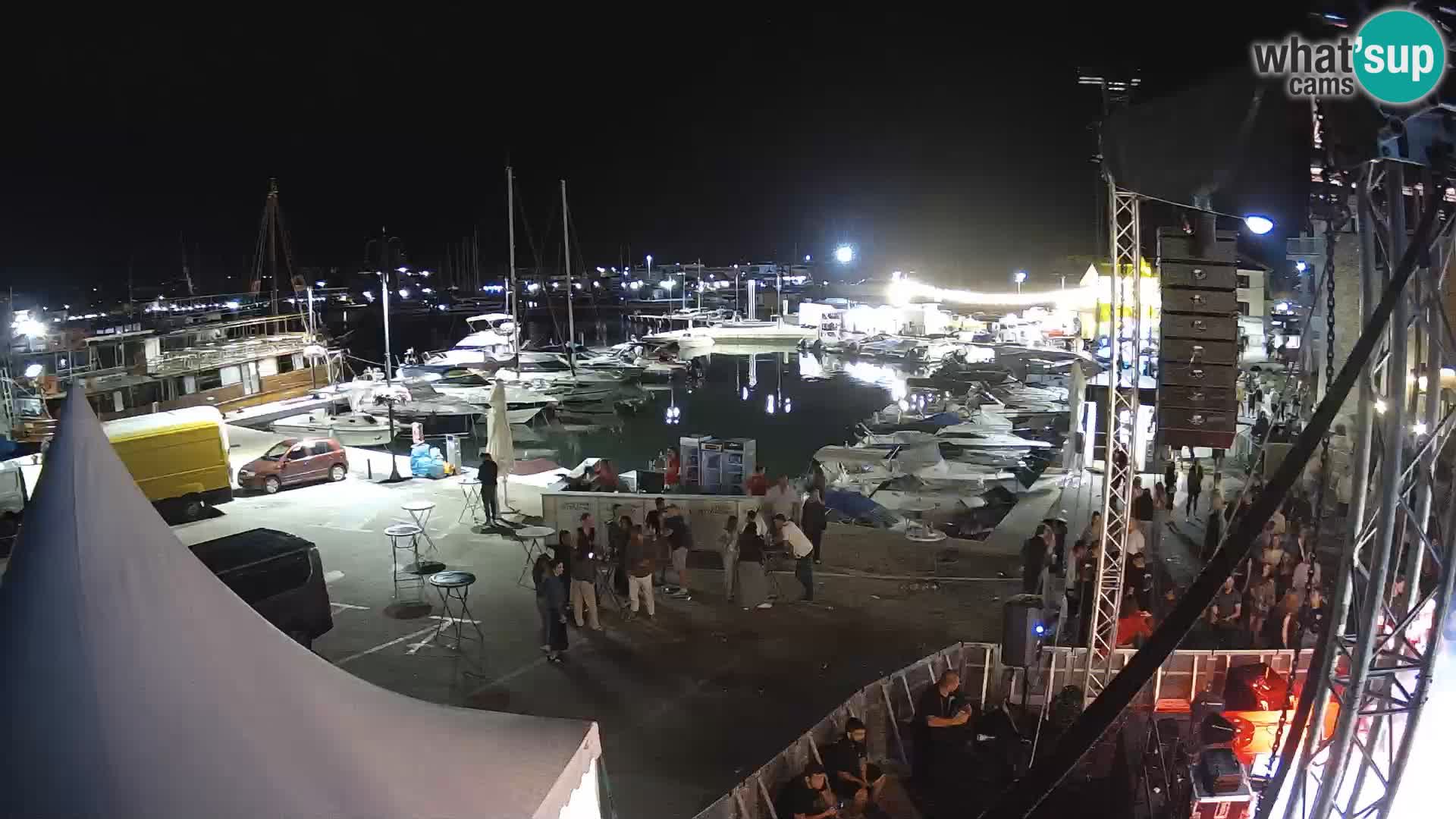 Novigrad | Porporela marina