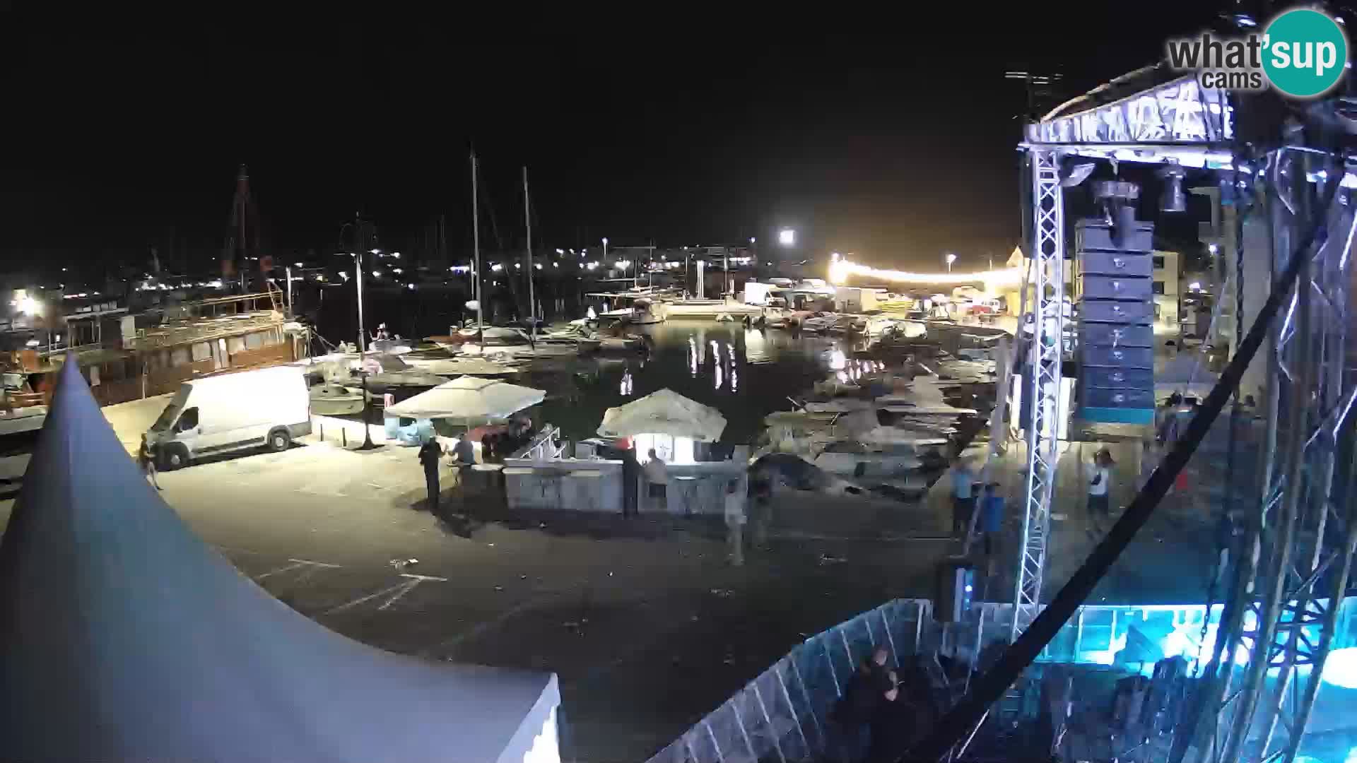 Novigrad | Porporela marina