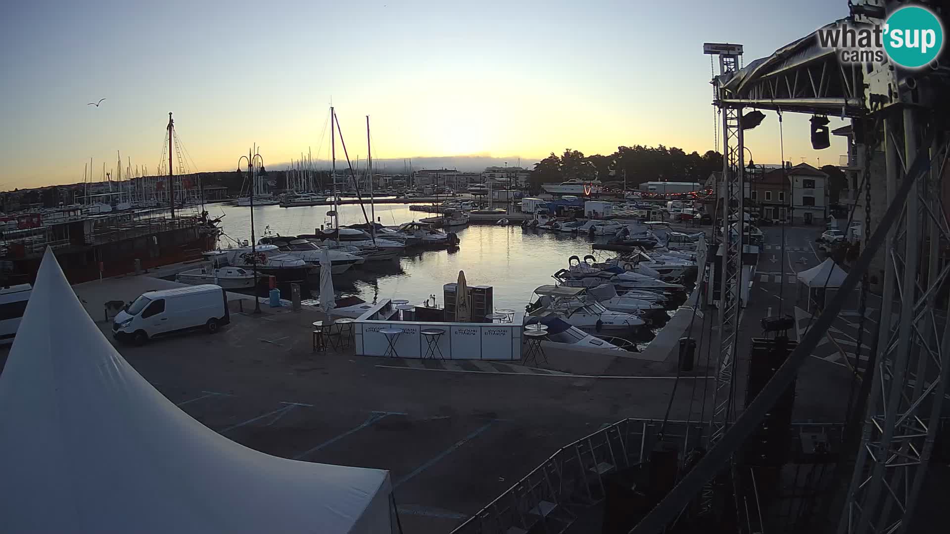 Novigrad | Porporela marina