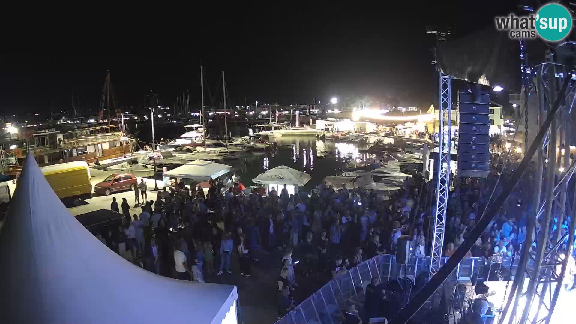 Novigrad | Porporela marina