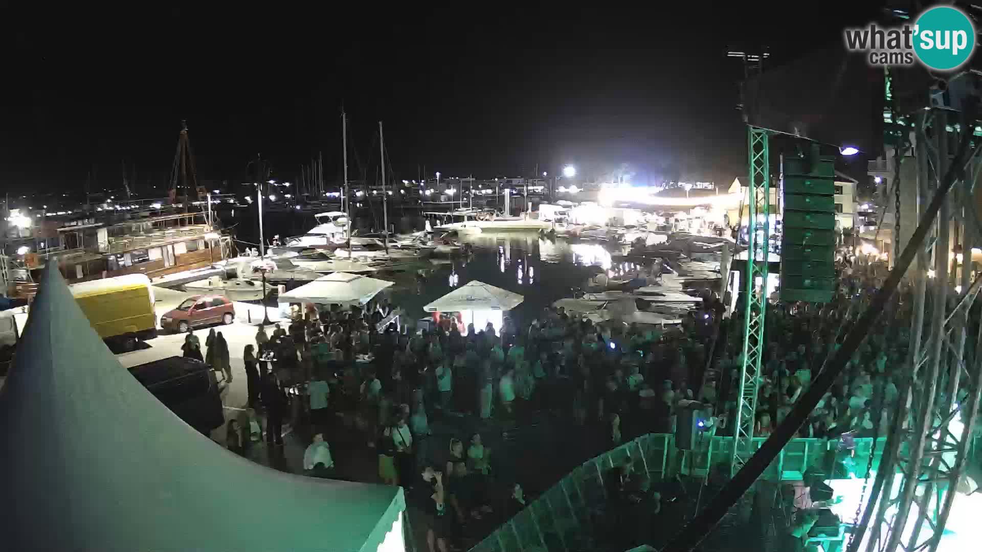 Novigrad | Porporela marina