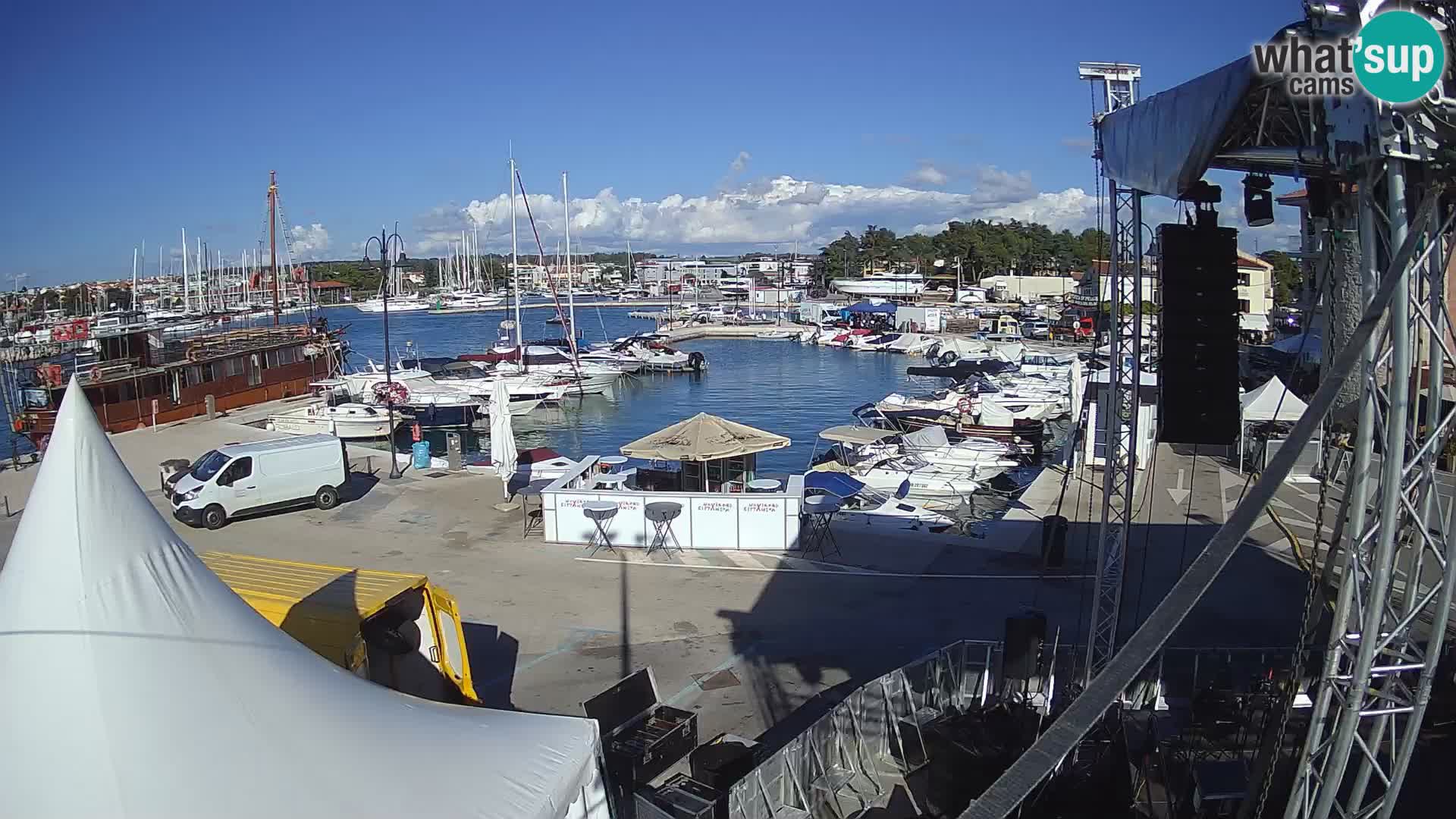 Novigrad | Porporela marina