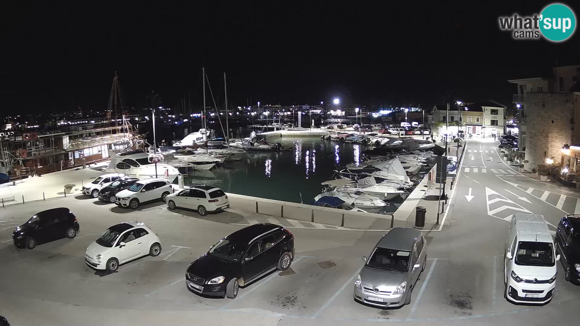 Novigrad | Porporela marina