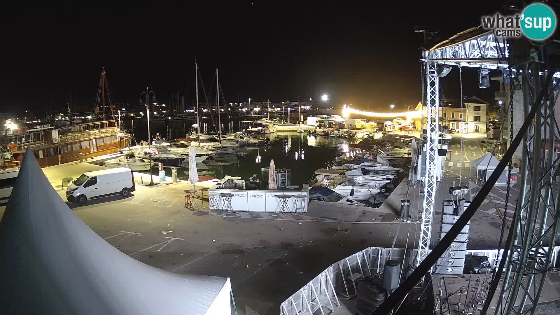Novigrad | Porporela marina