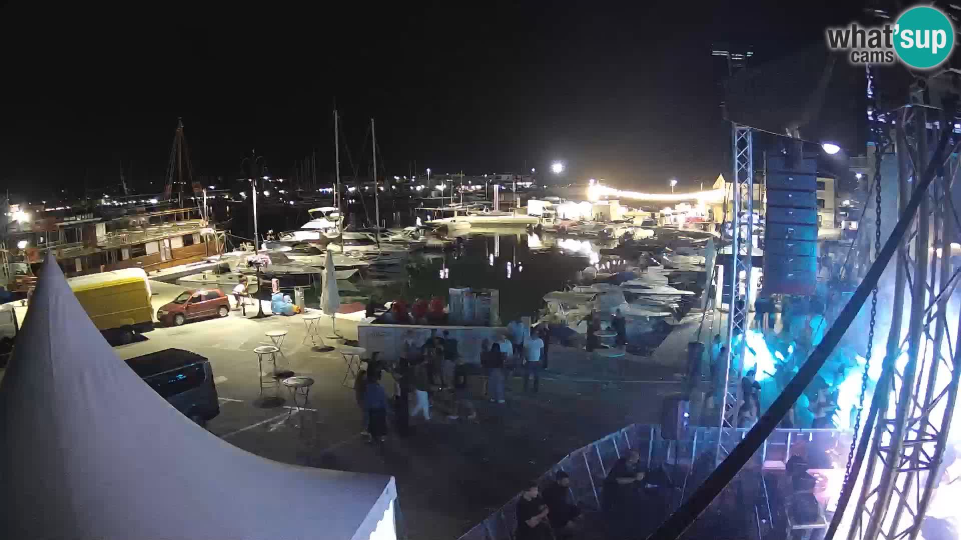 Novigrad | Porporela marina