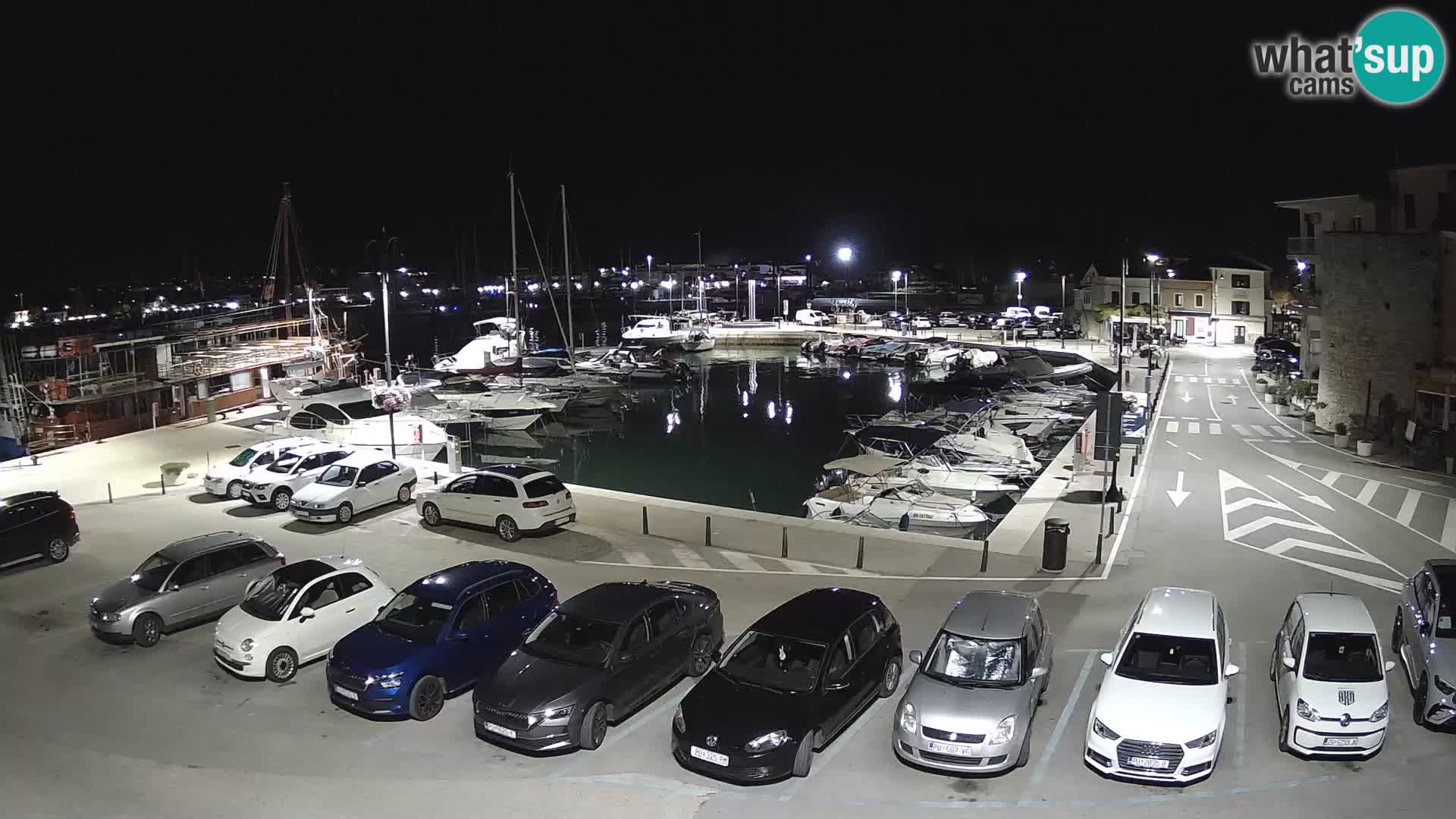 Novigrad | Porporela marina