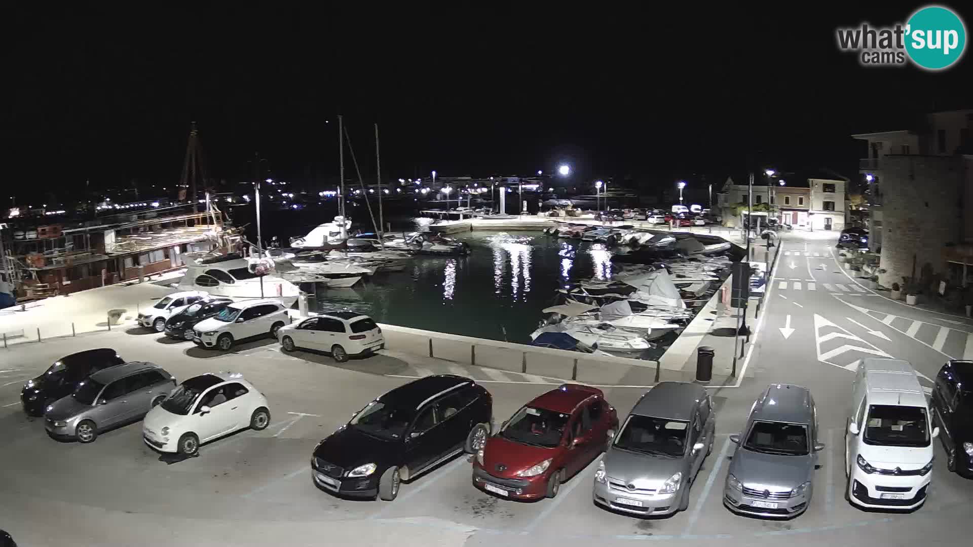 Novigrad | Porporela marina