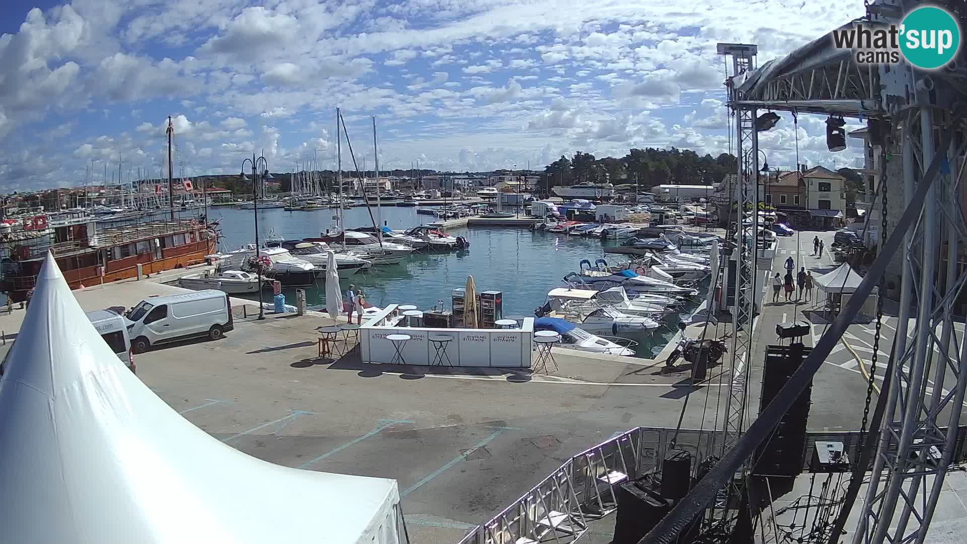 Novigrad | Porporela marina