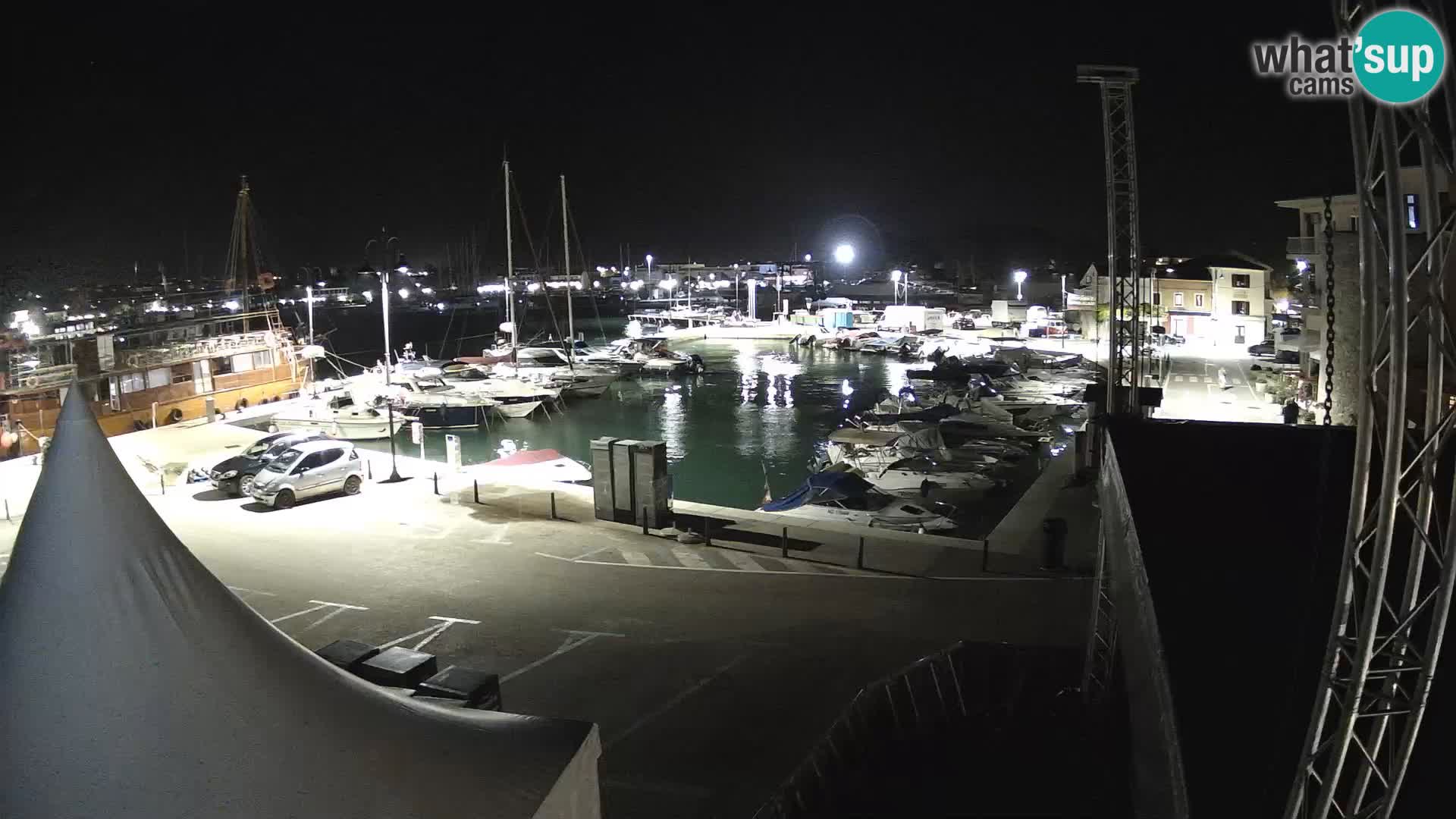 Novigrad | Porporela marina