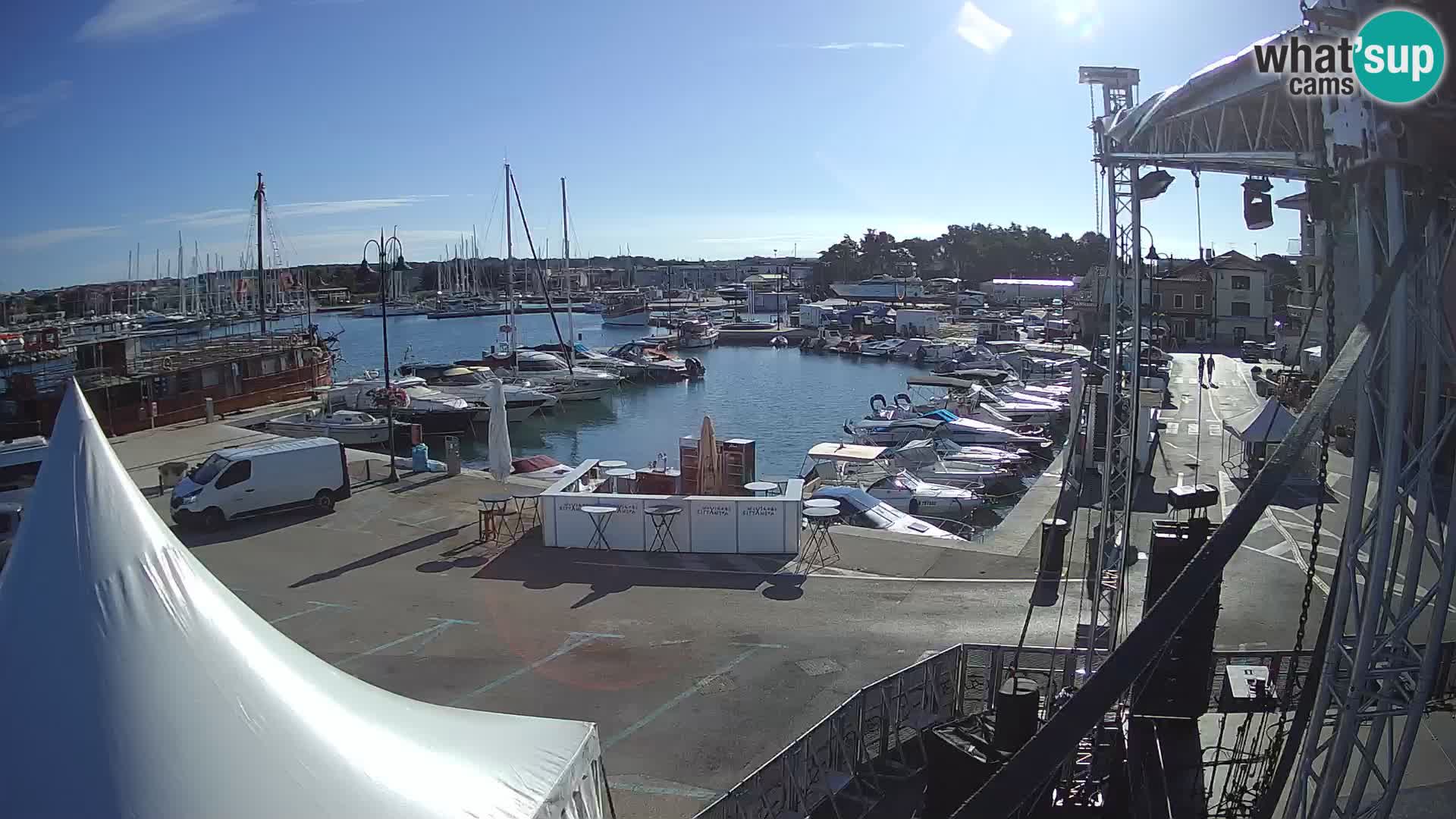 Novigrad | Porporela marina