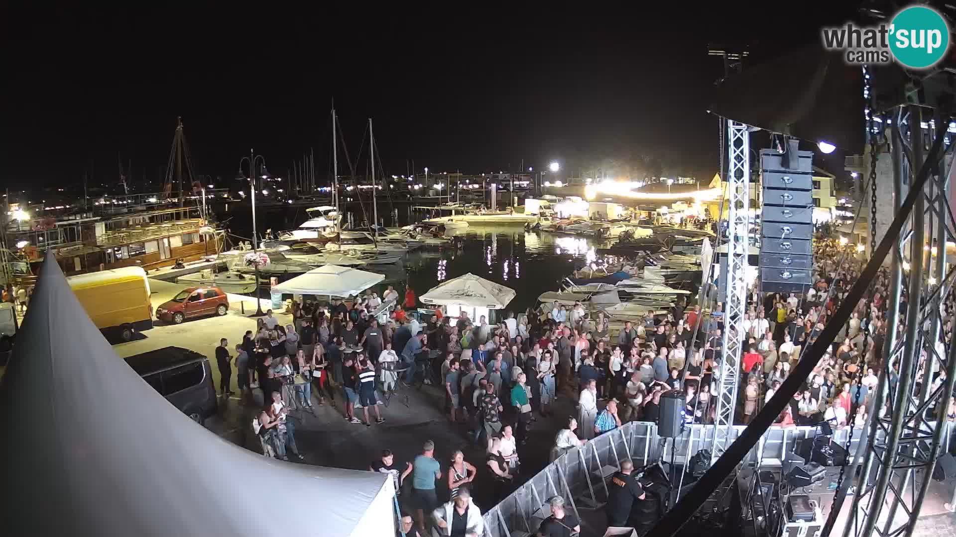 Novigrad | Porporela marina