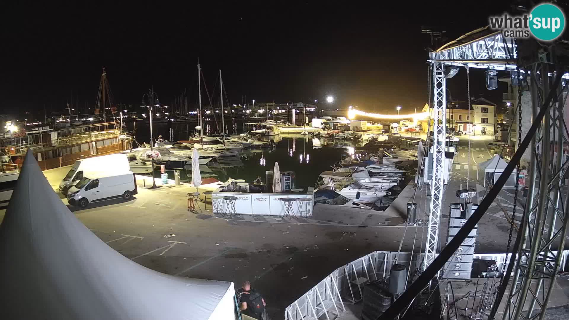 Novigrad | Porporela marina