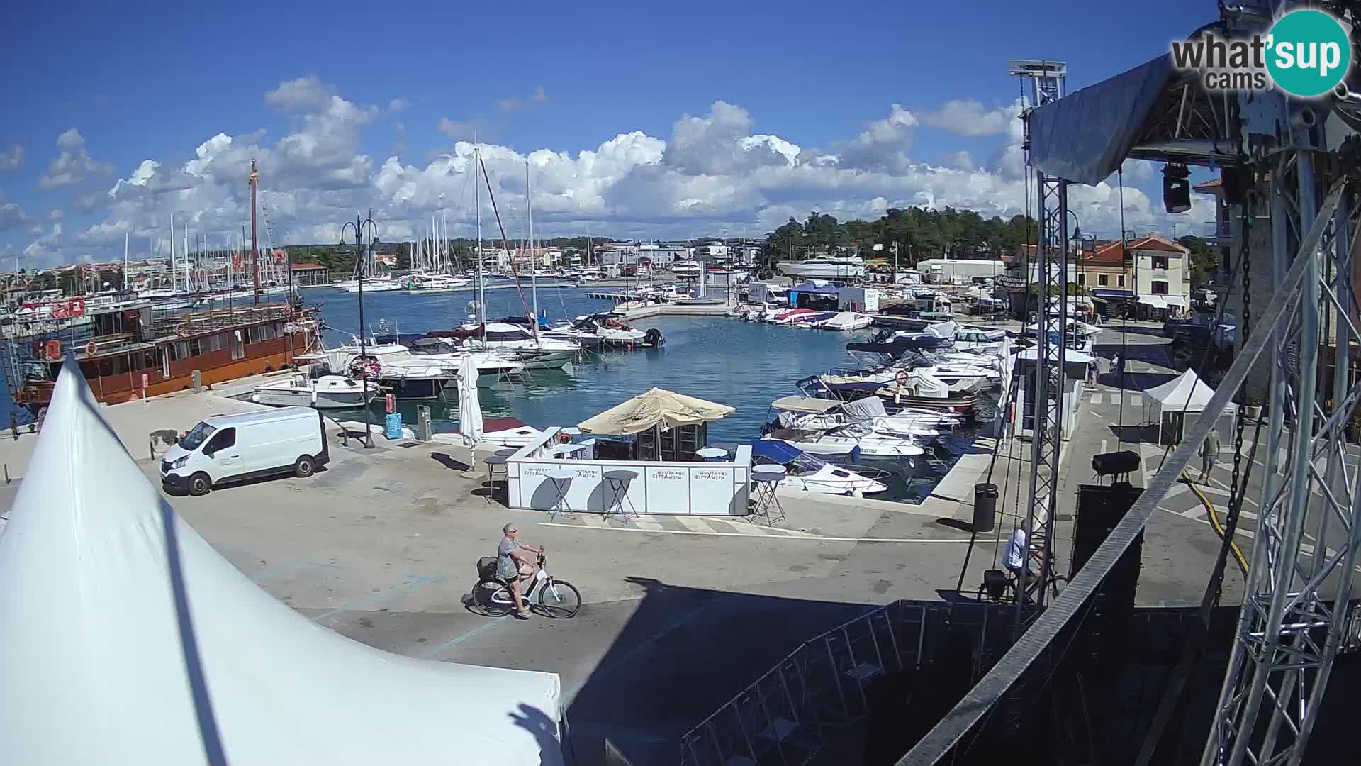 Novigrad | Porporela marina