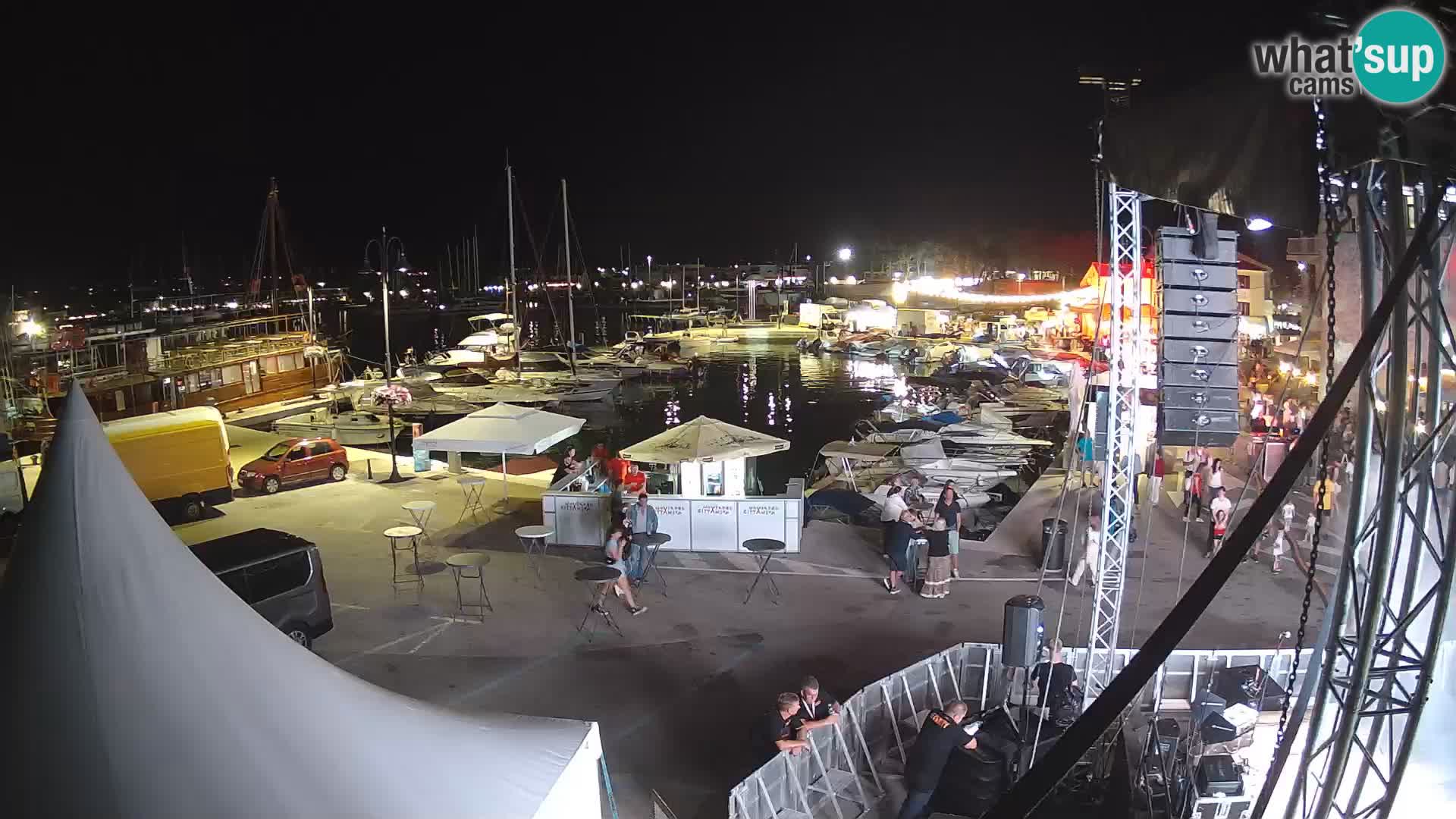 Novigrad | Porporela marina