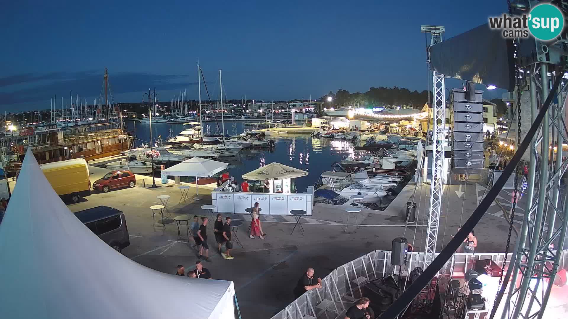 Novigrad | Porporela marina
