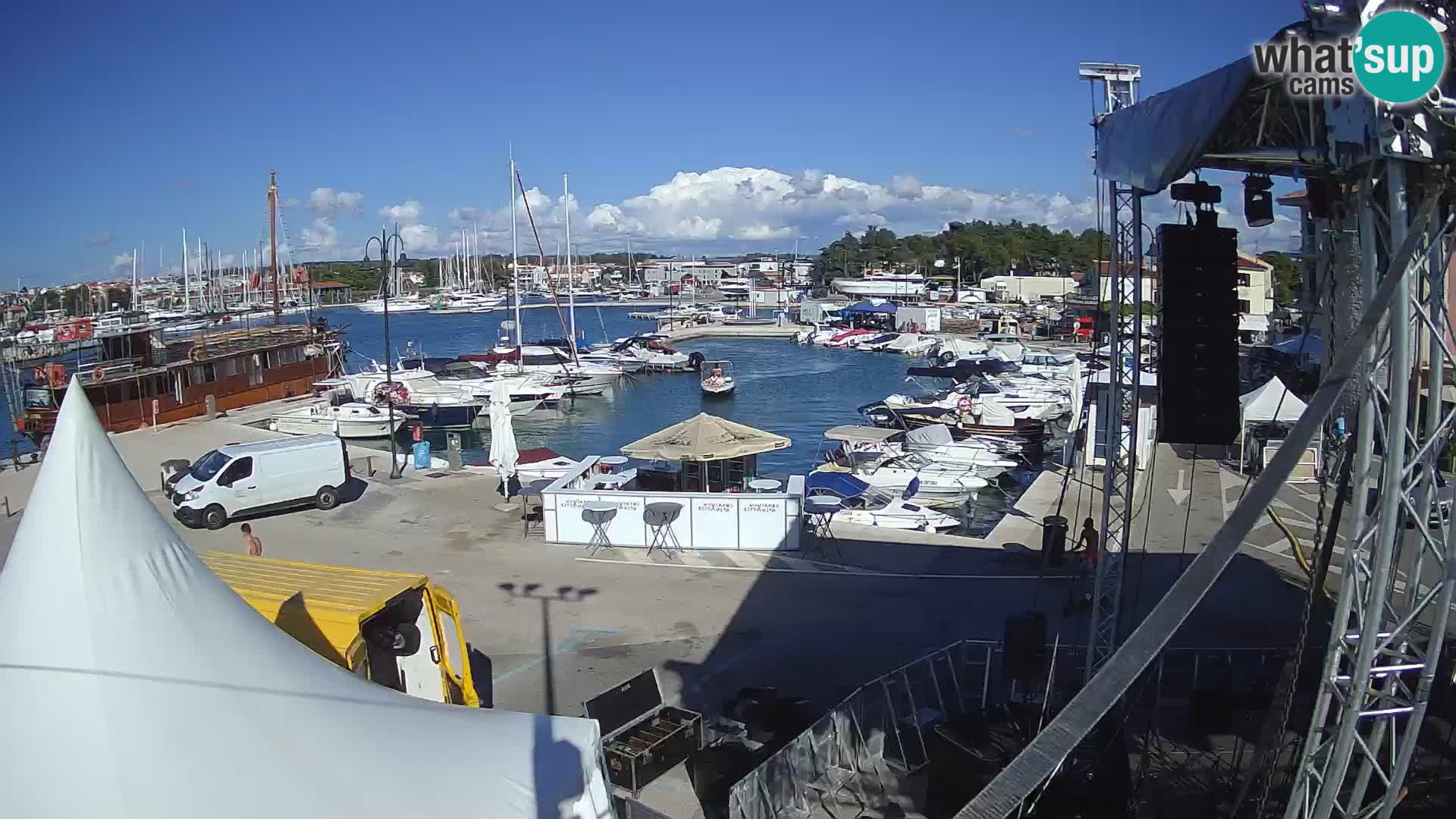 Novigrad | Porporela marina