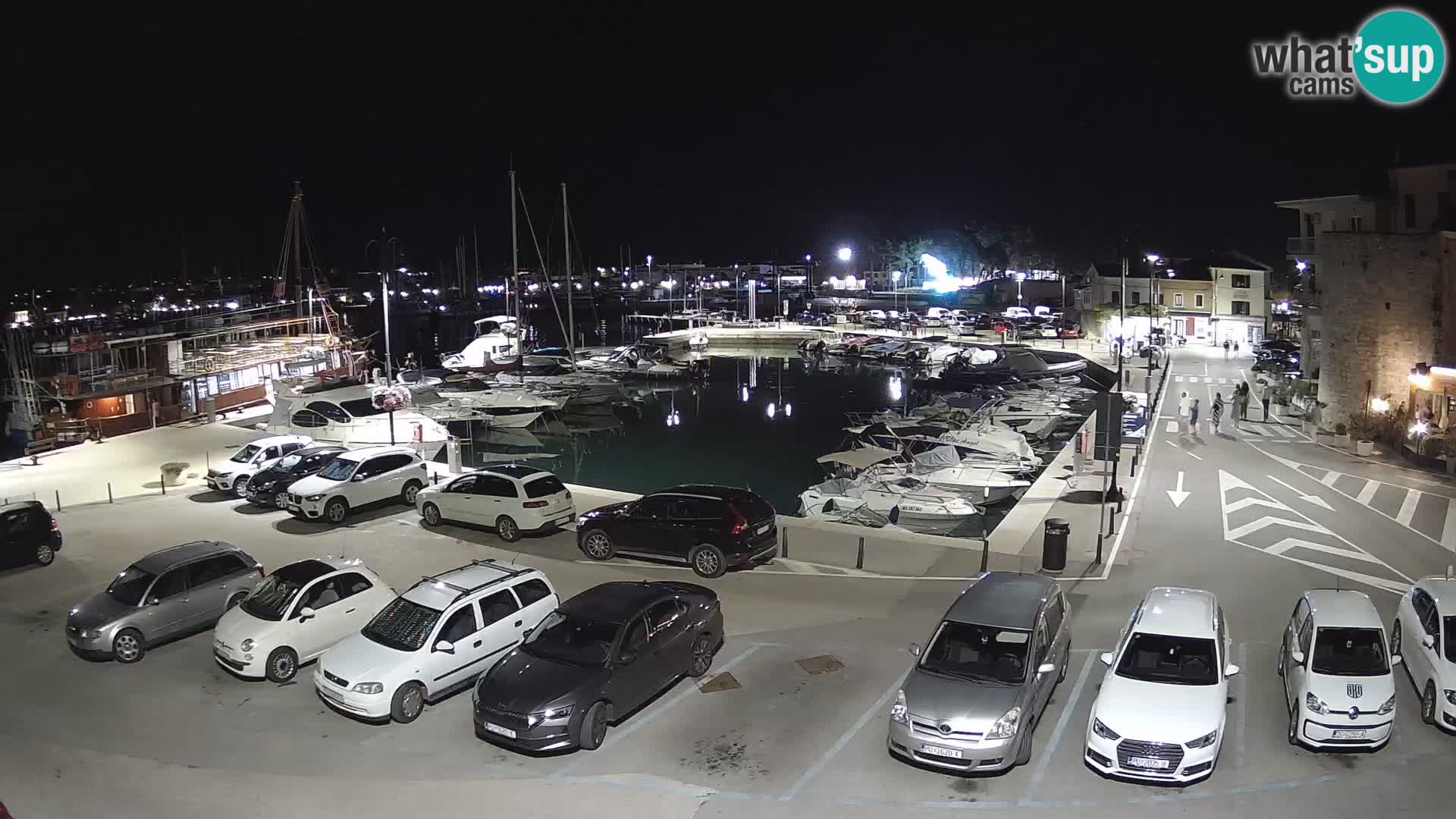 Novigrad | Porporela marina