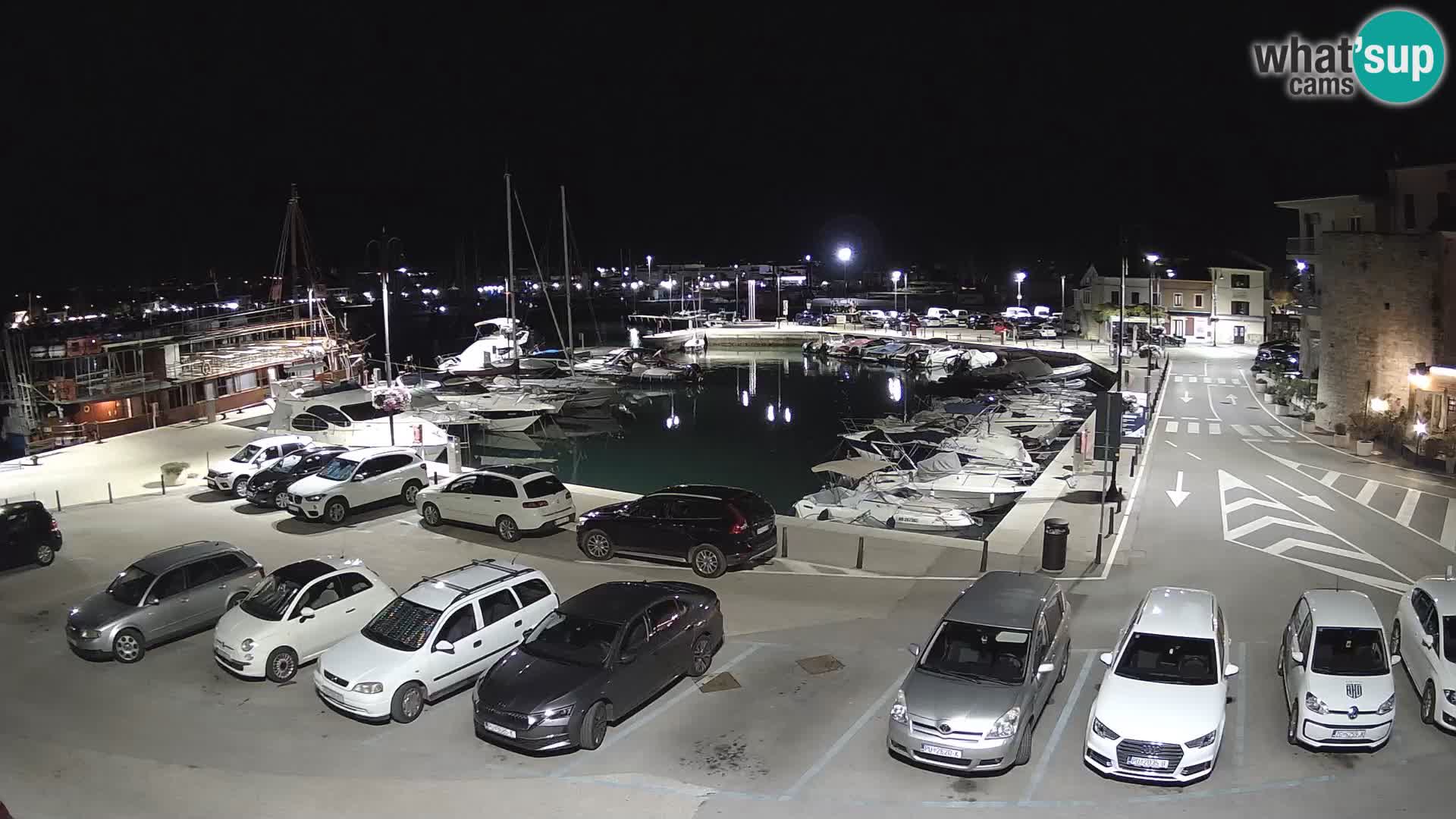 Novigrad | Porporela marina