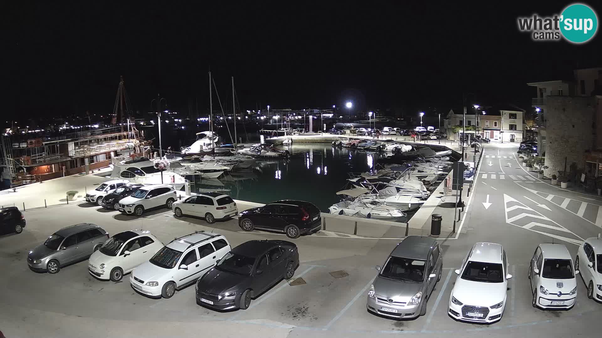Novigrad | Porporela marina