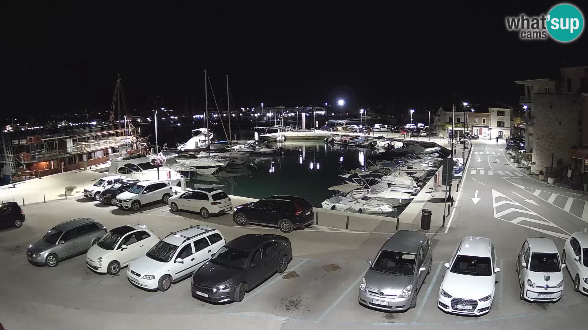 Novigrad | Porporela marina