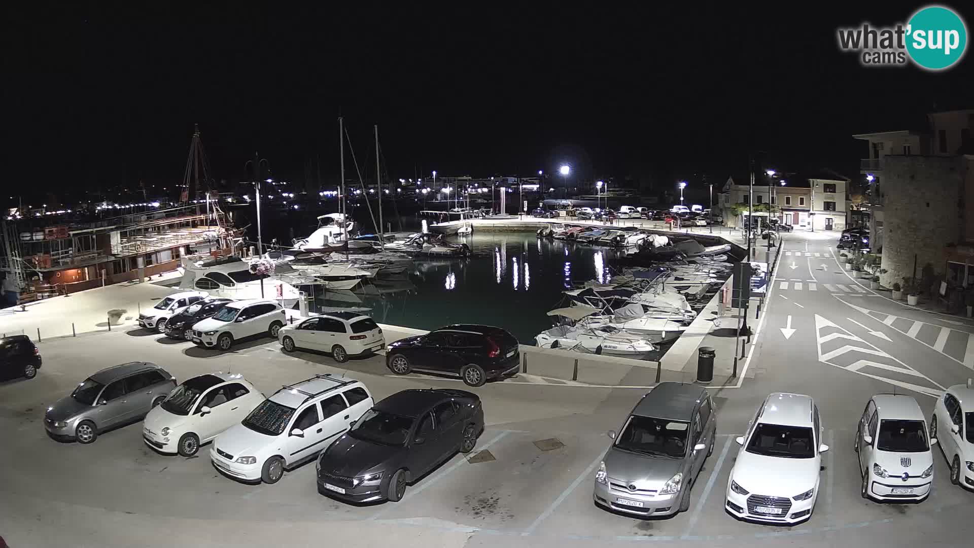 Novigrad | Porporela marina