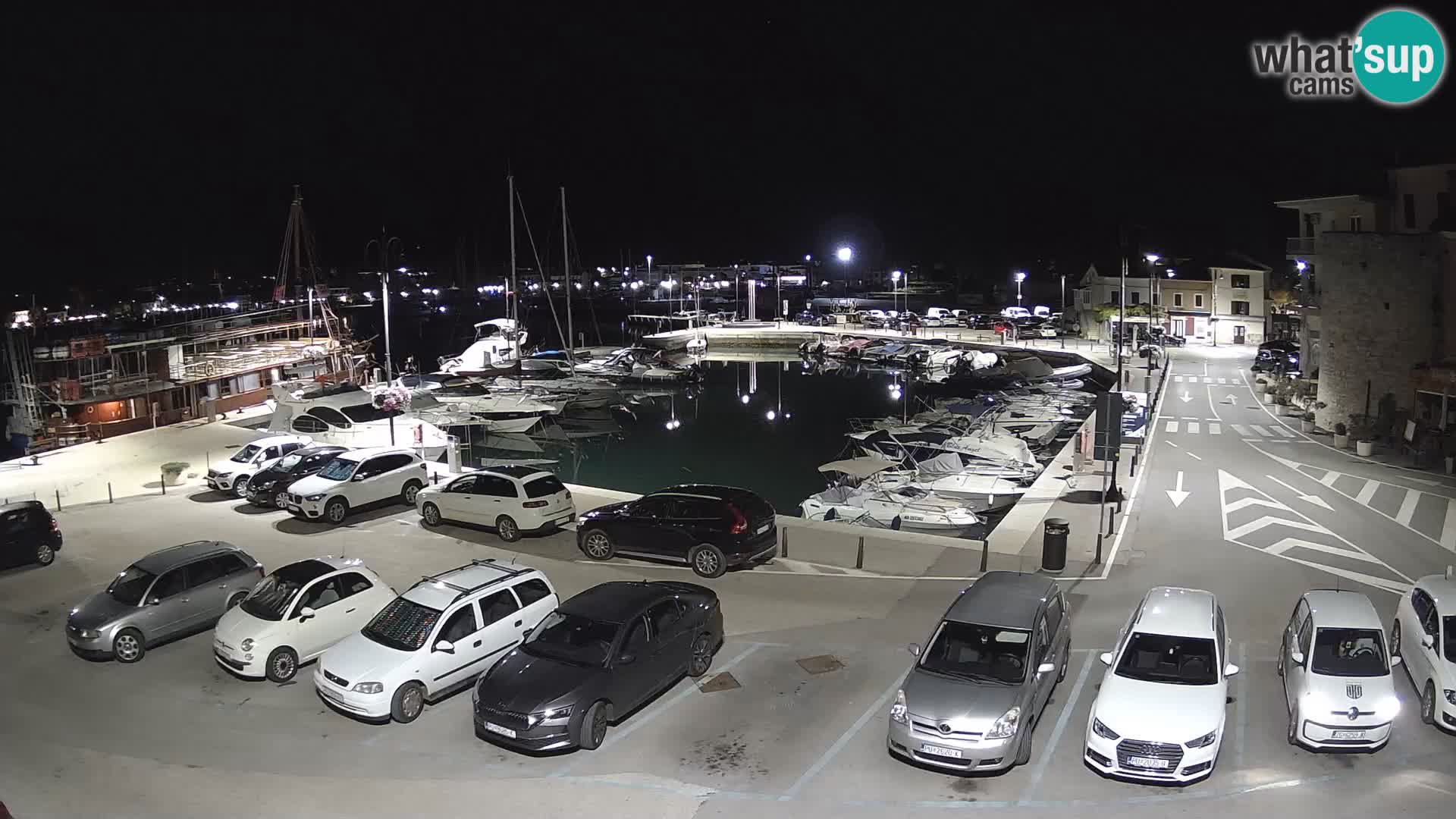 Novigrad | Porporela marina