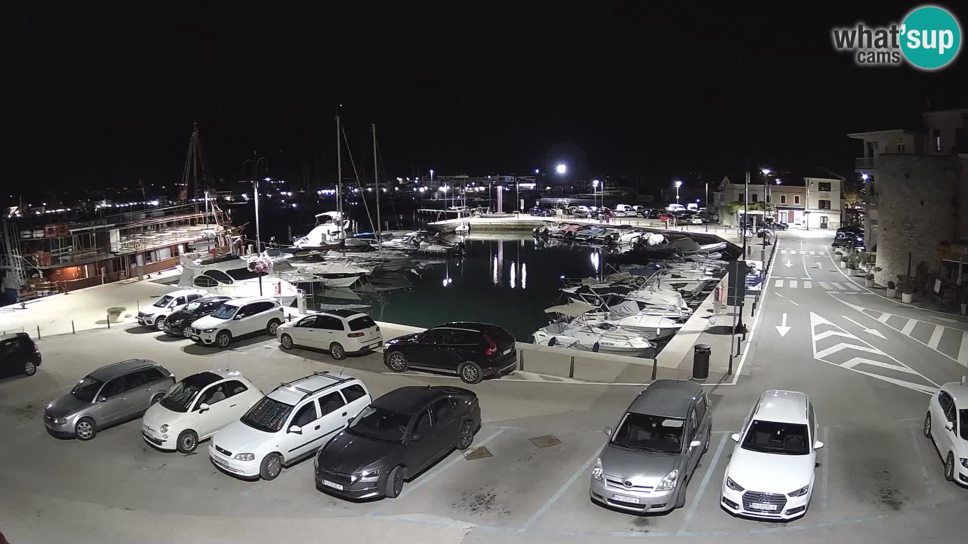 Novigrad | Porporela marina