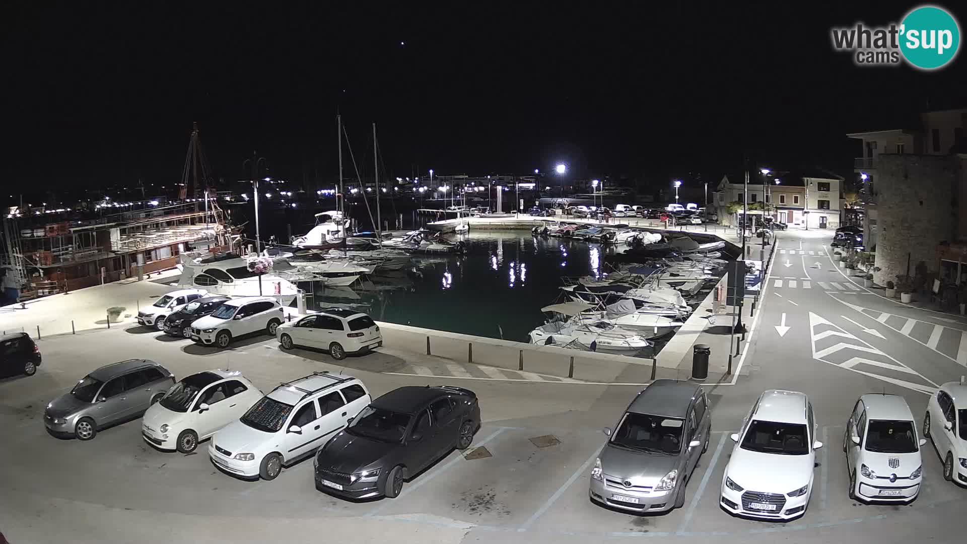 Novigrad | Porporela marina