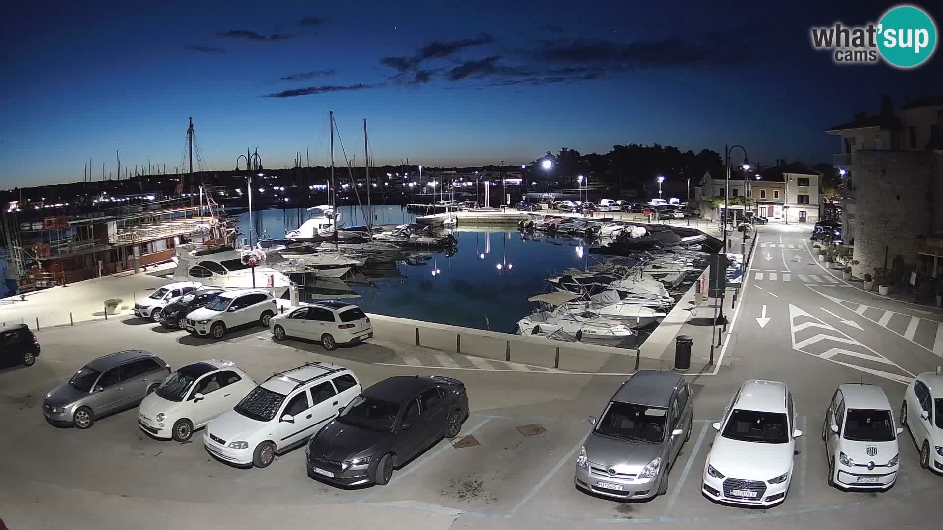 Novigrad | Porporela marina