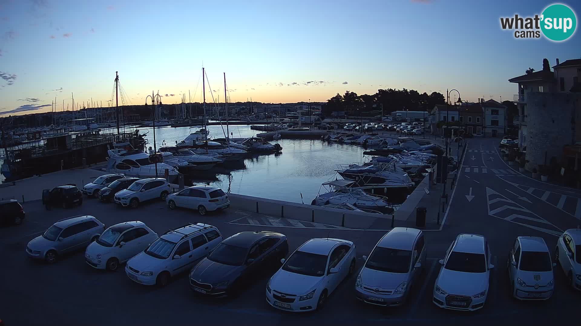 Novigrad | Porporela marina
